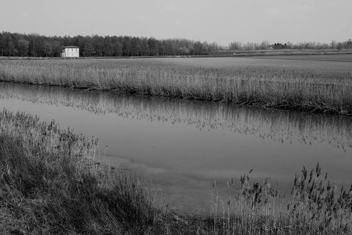 P1060989